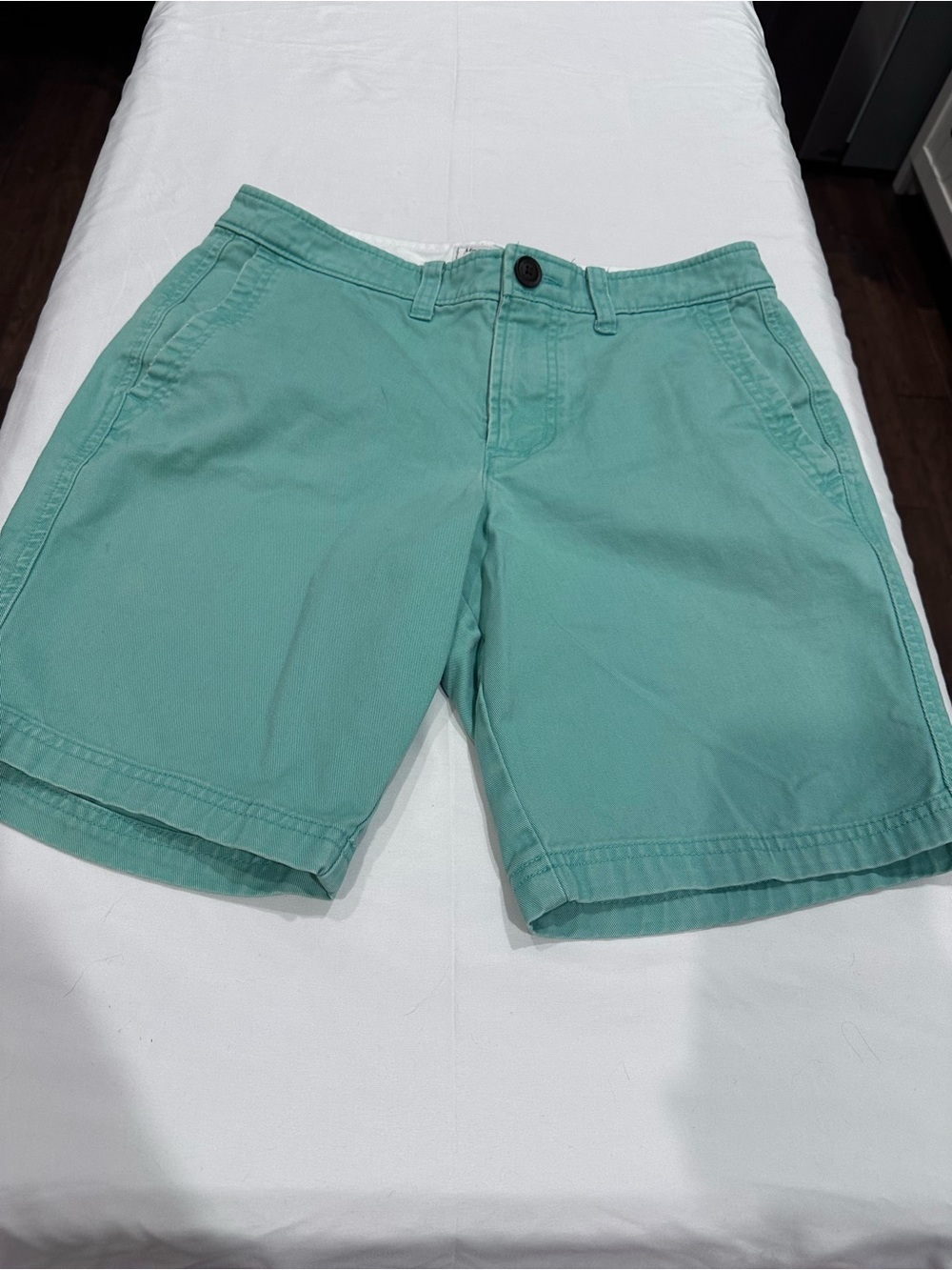 Abercrombie & Fitch Light Green Flat Front Shorts W29 8”